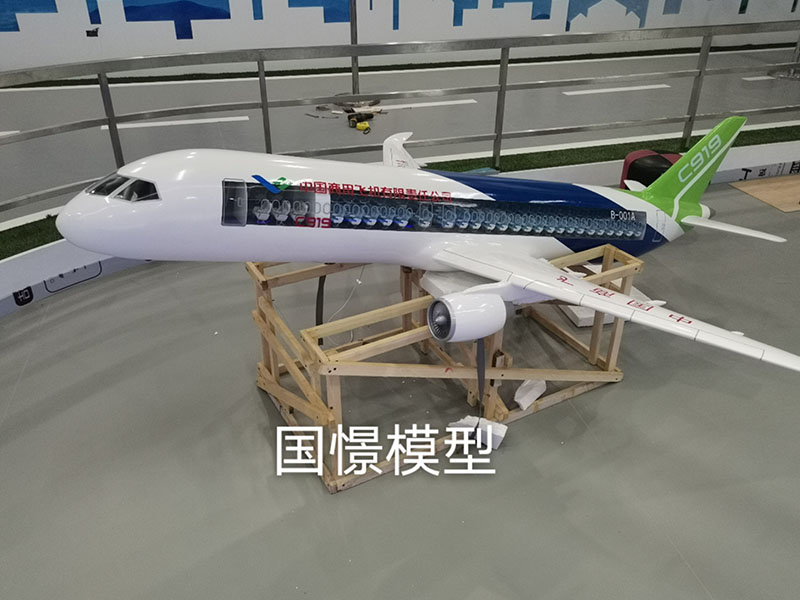 阿合奇县飞机模型